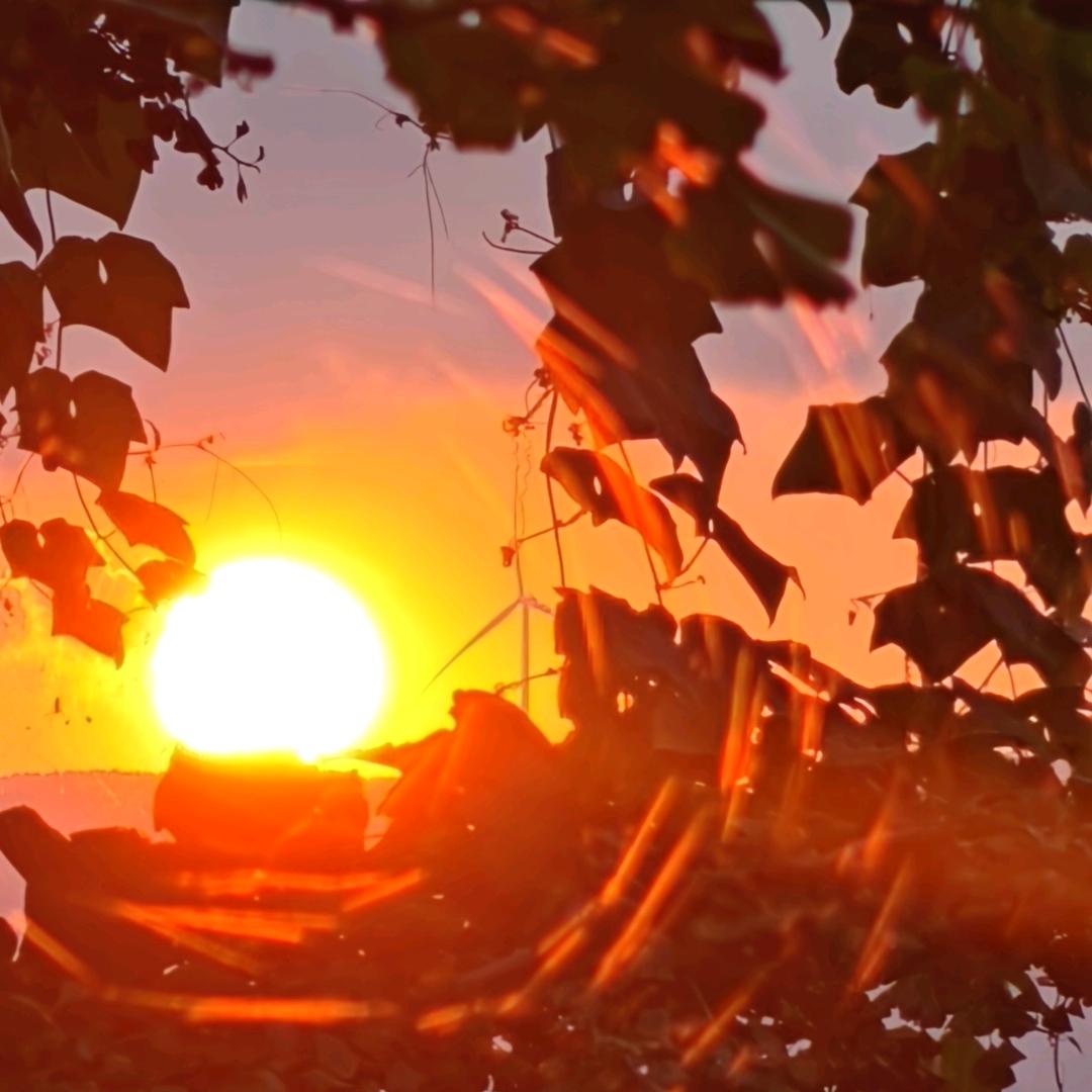 ᥫᦱᐝ老战友💎⃟聊光伏ཀ