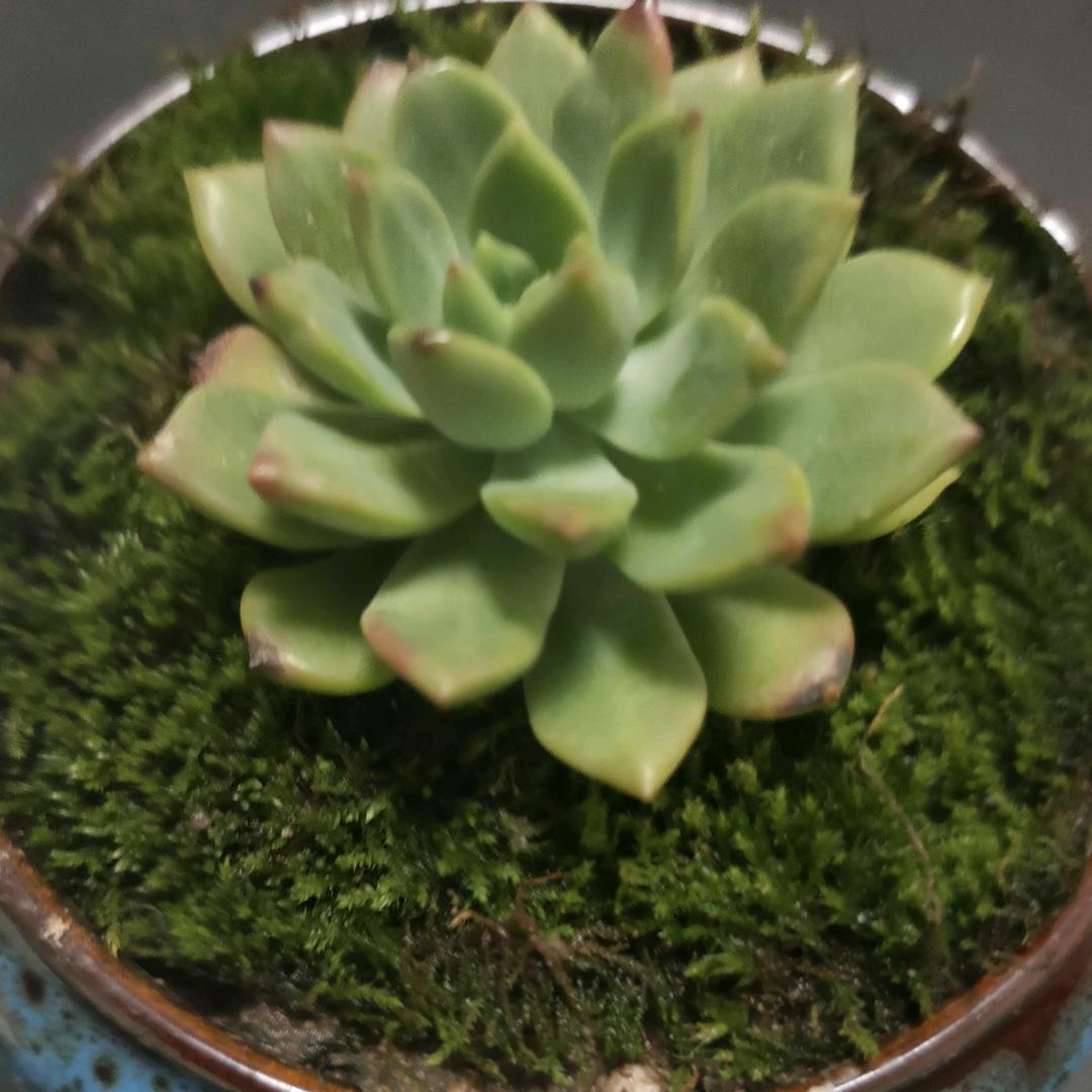 好运来₍˄·͈༝·͈˄*₎◞