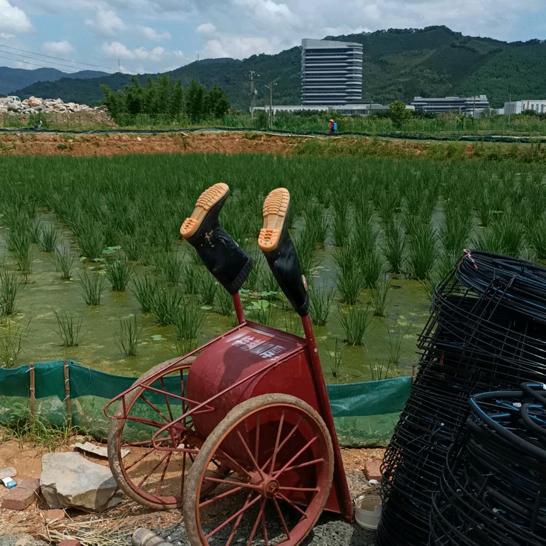 新农人