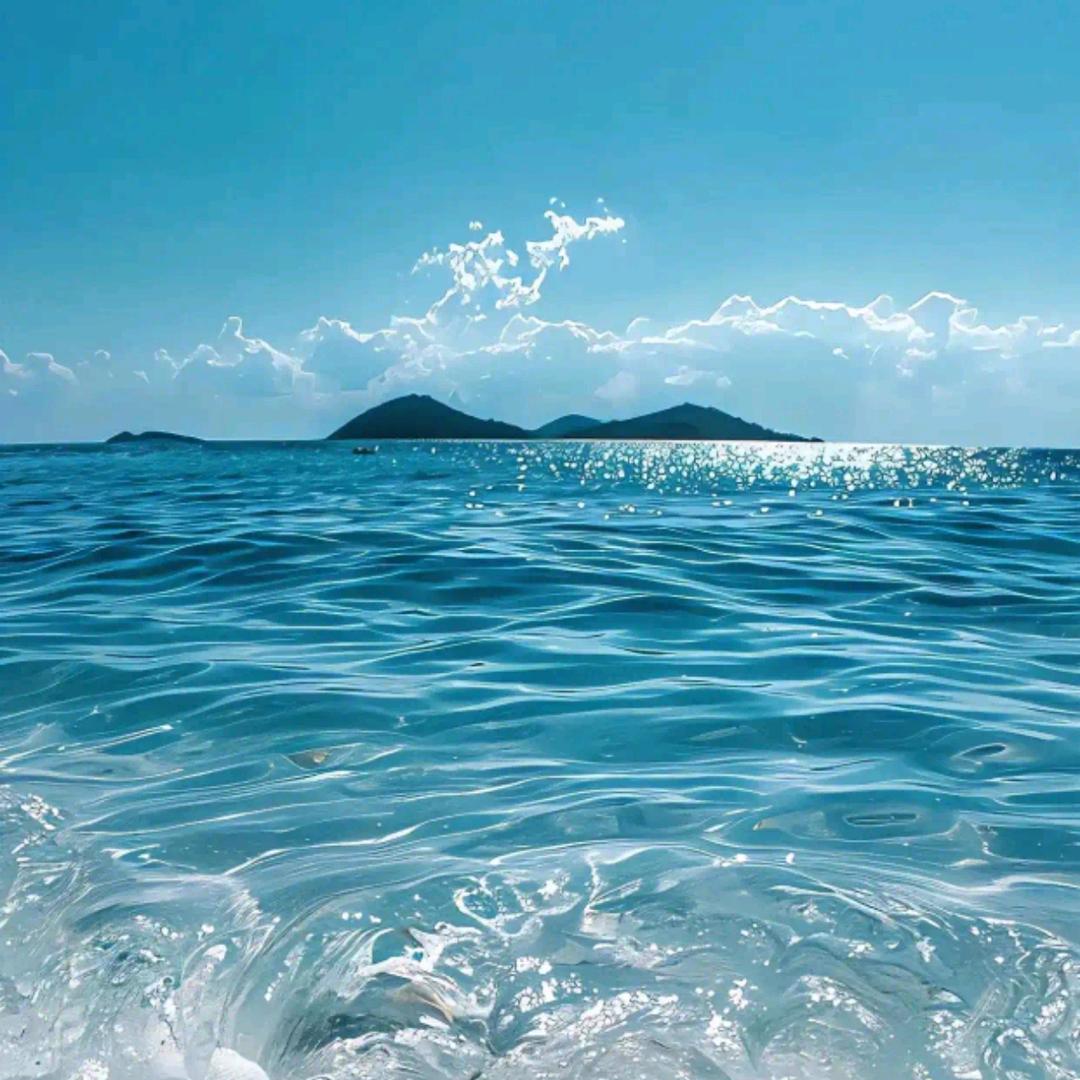 伴风望海