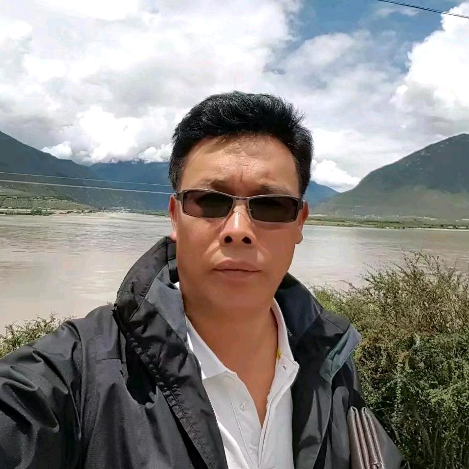 陈了个陈（Stray Wolf）