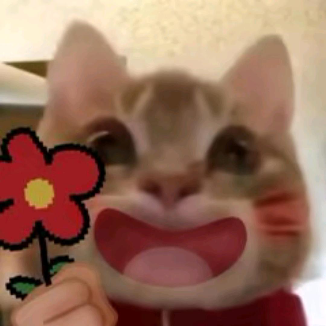旺梨汪汽