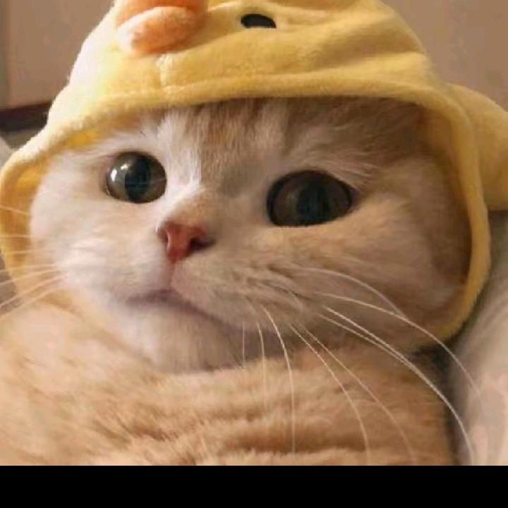 太多天