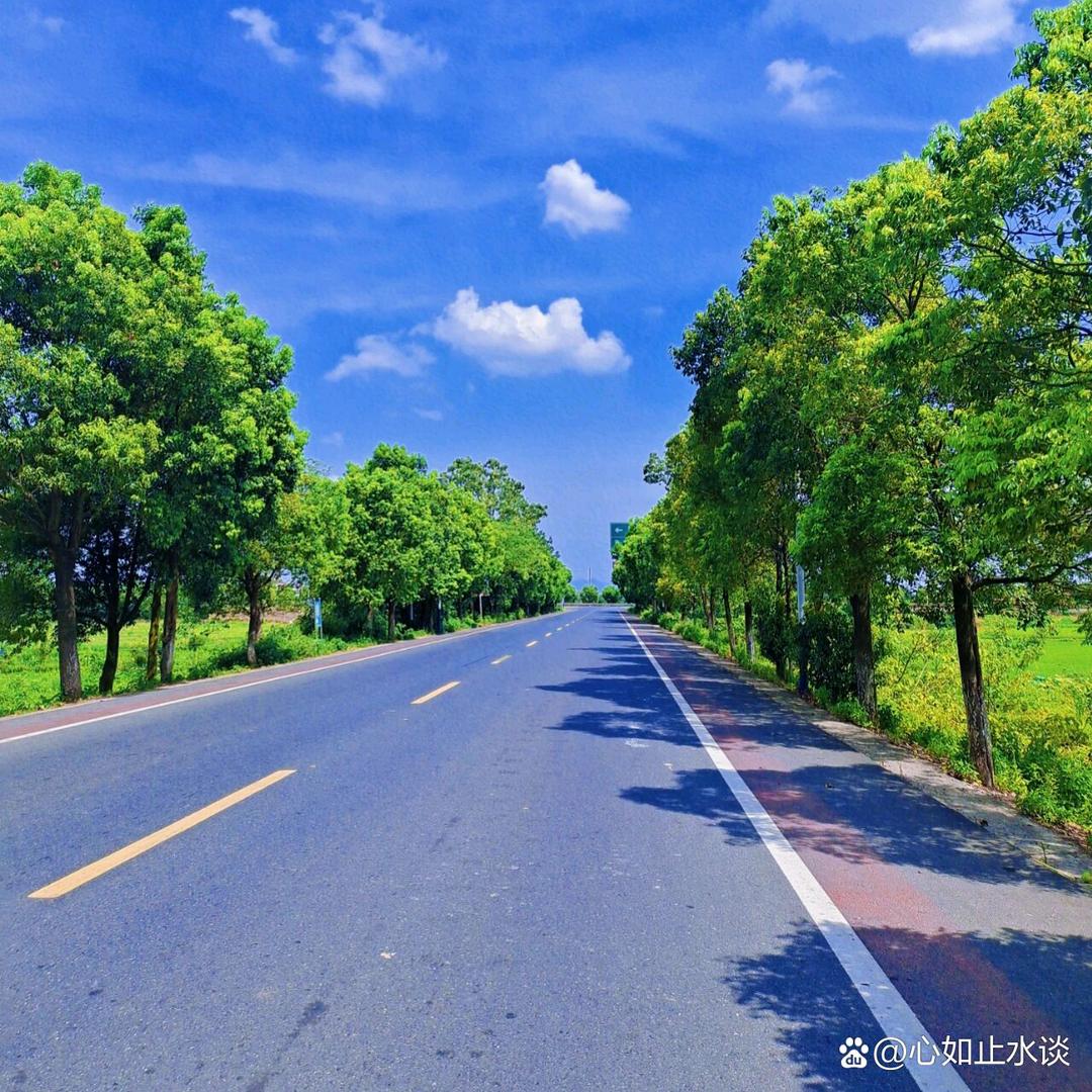 老七