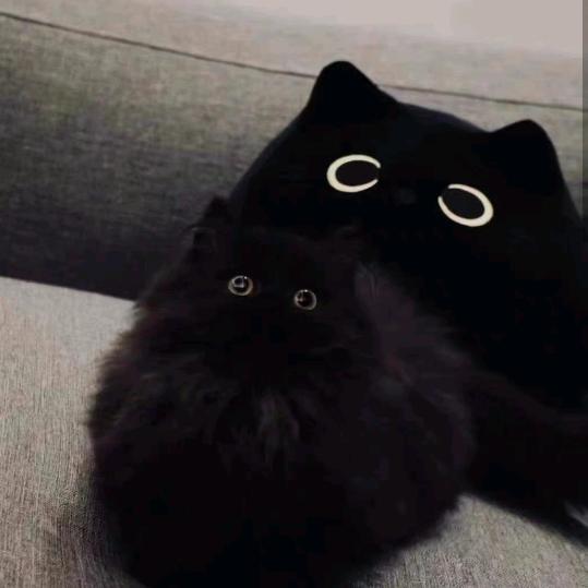 起名字太麻烦了