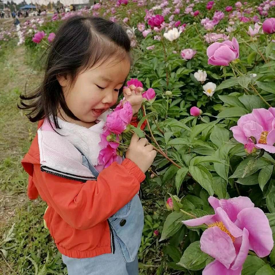 Rꫀꪖᦔᵧₒᵤ（念你）