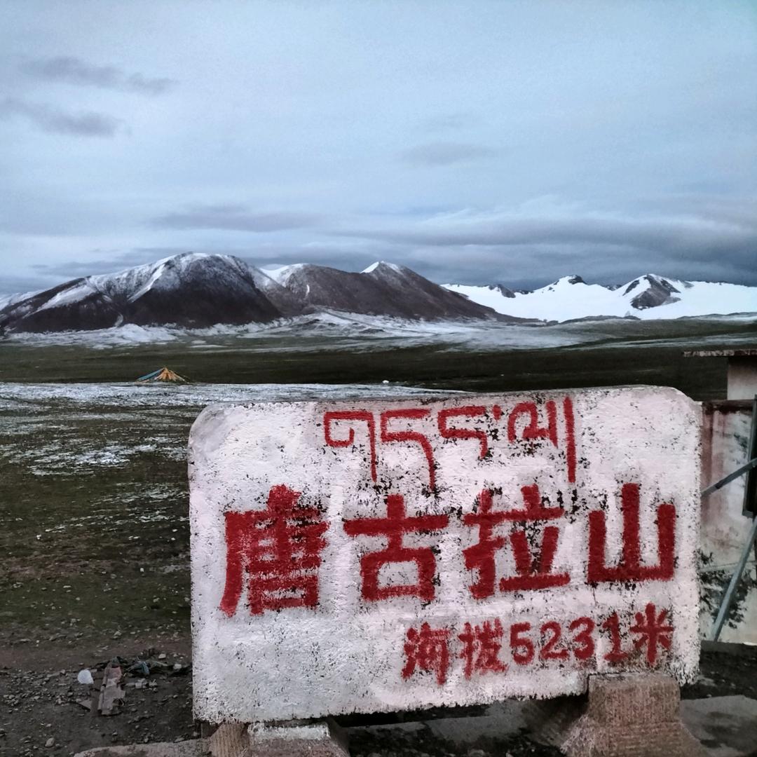 汪者自强