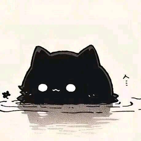睡眠肠胃一级棒