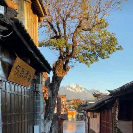 南风剧院（志在必得）