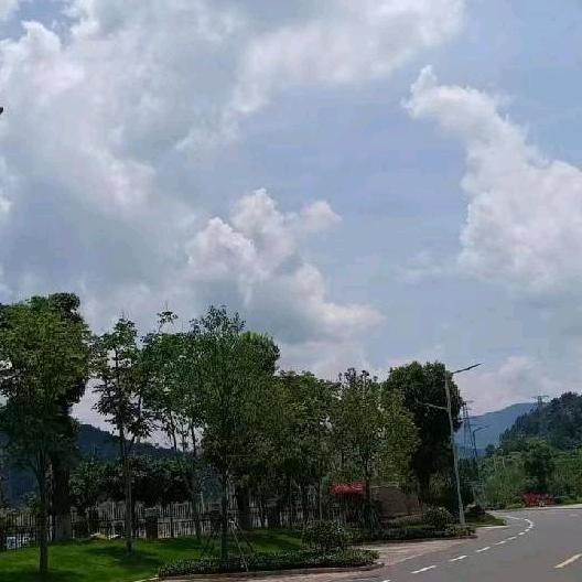 新的一天
