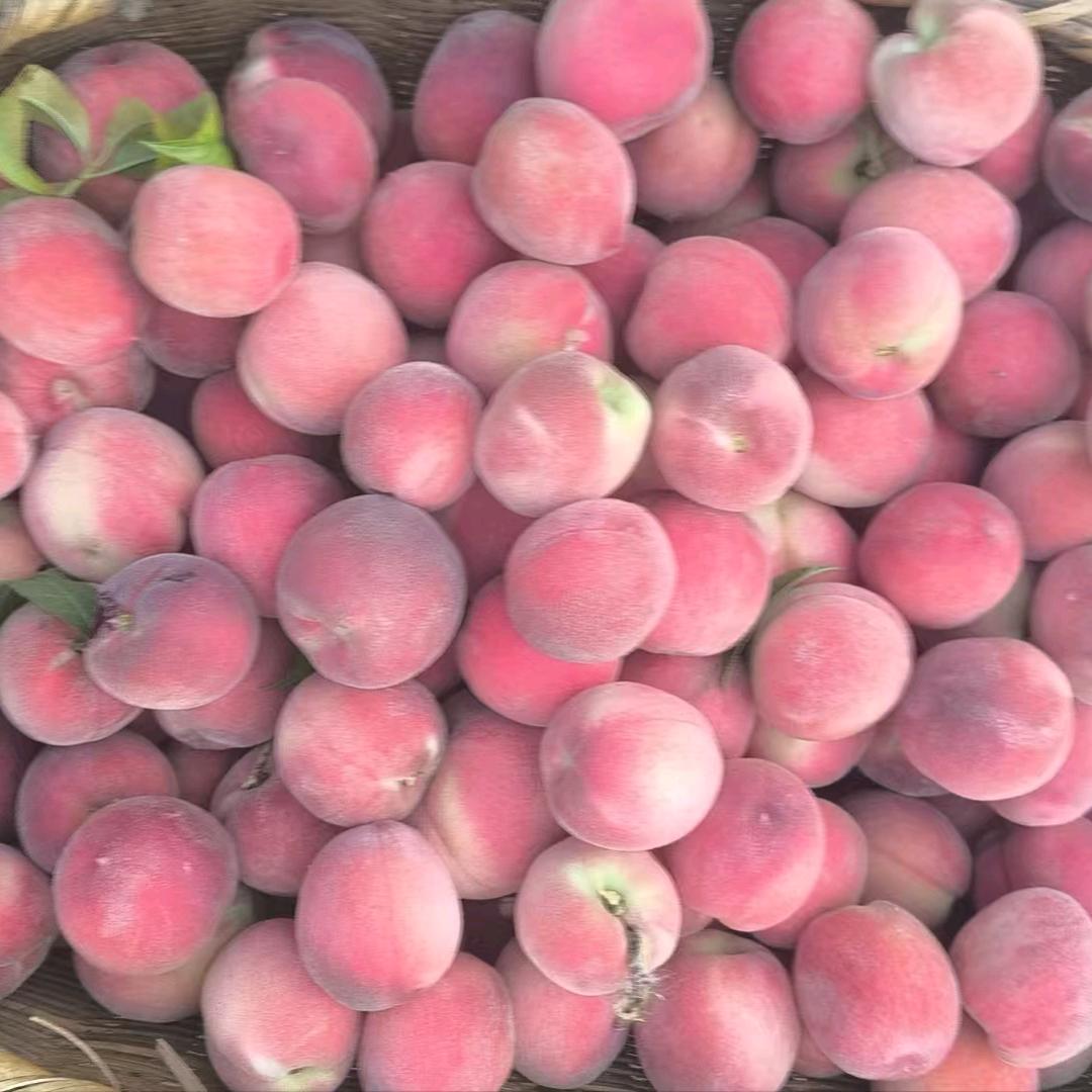 荆州锅盔