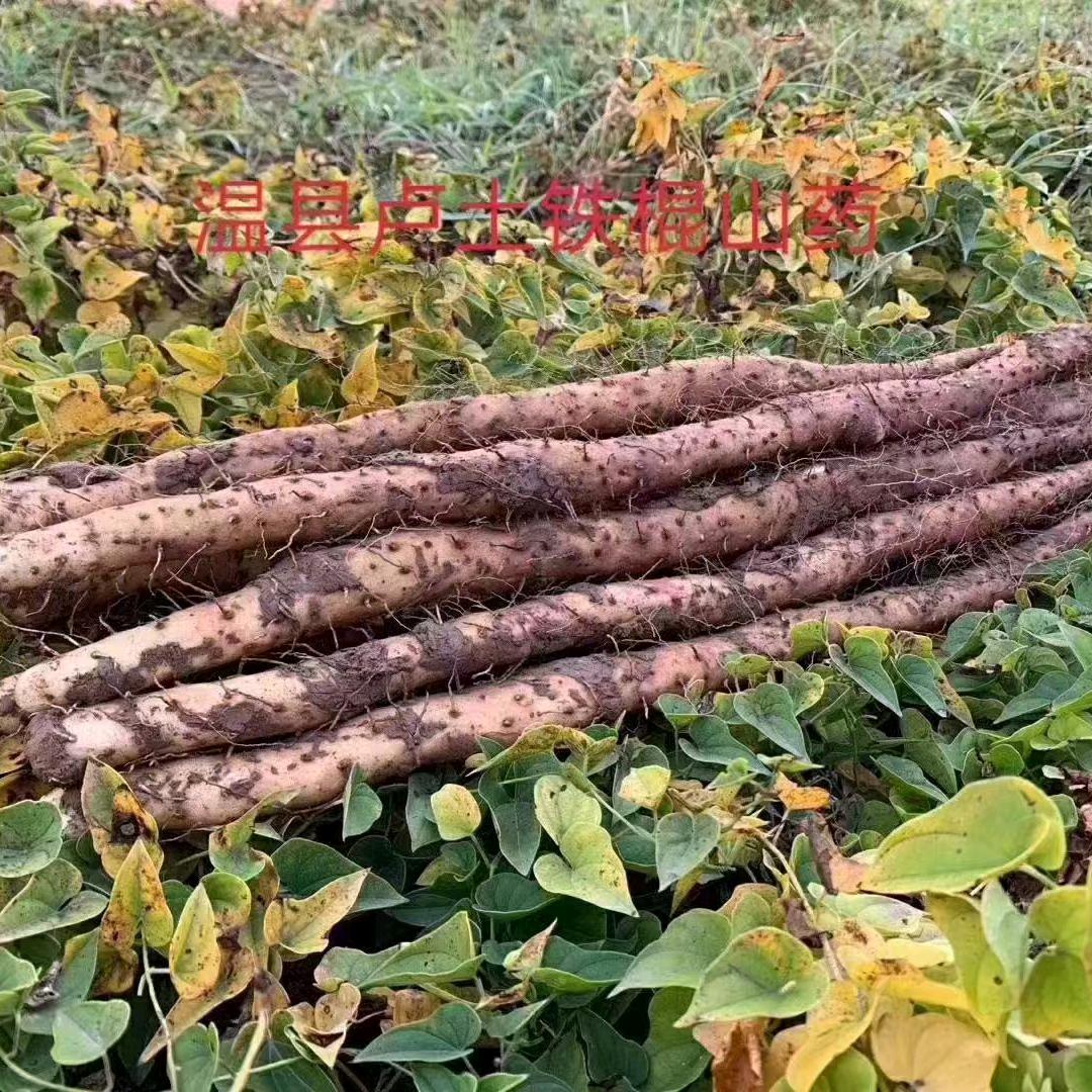 张