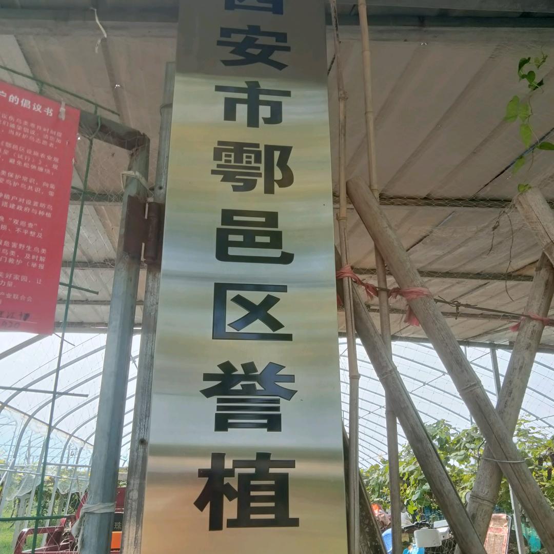 西安市鄂邑区誉植园种养殖场