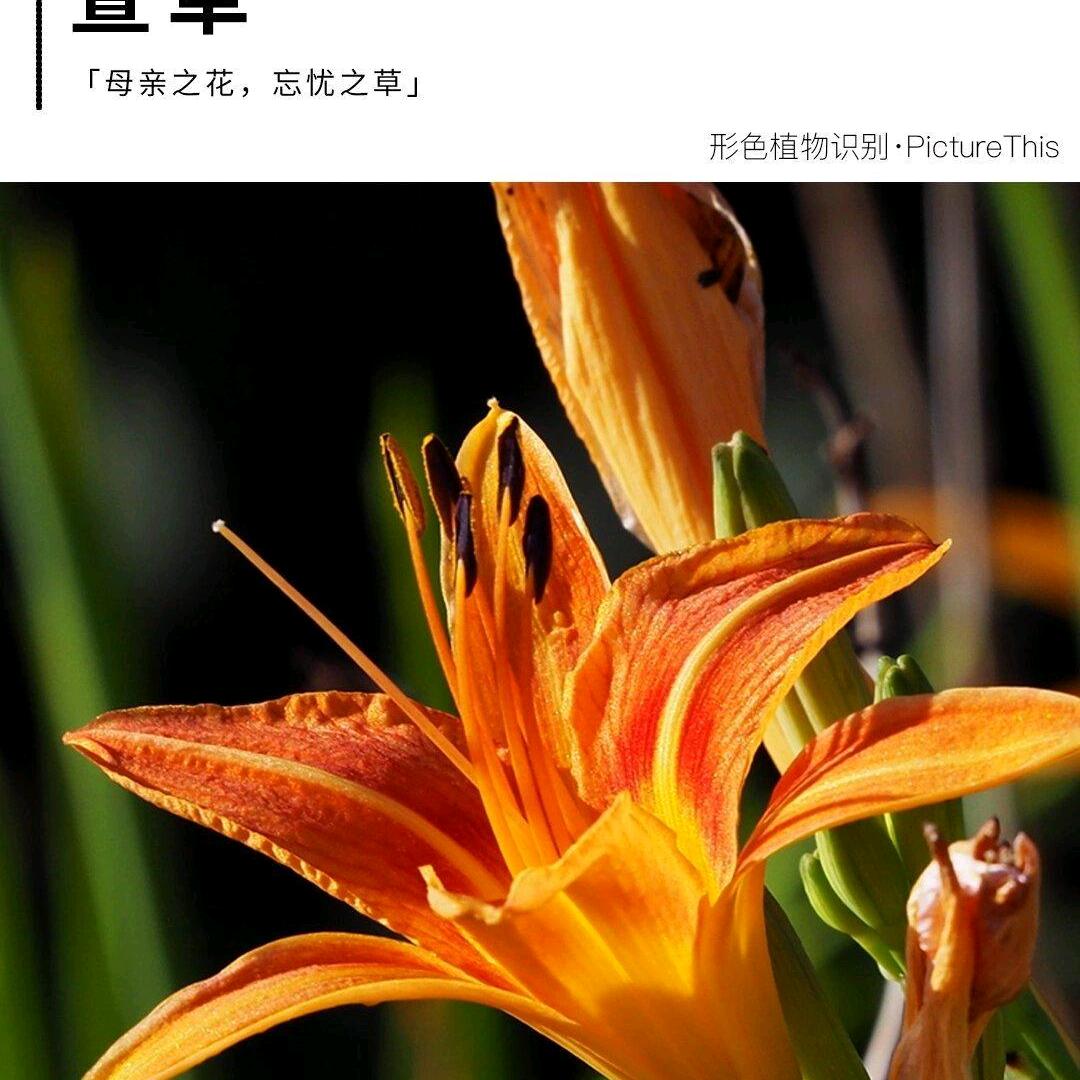 学钢琴成长记录