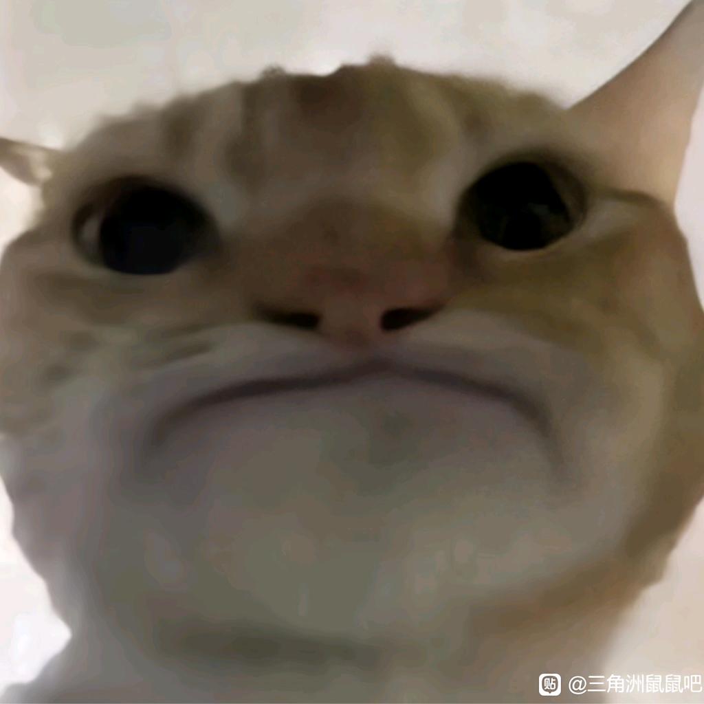 黑鱼（三角洲代肝）