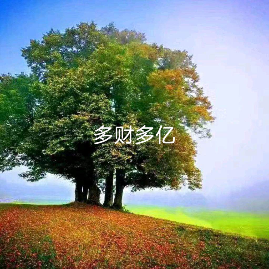 山东宝亿《沉默是金》