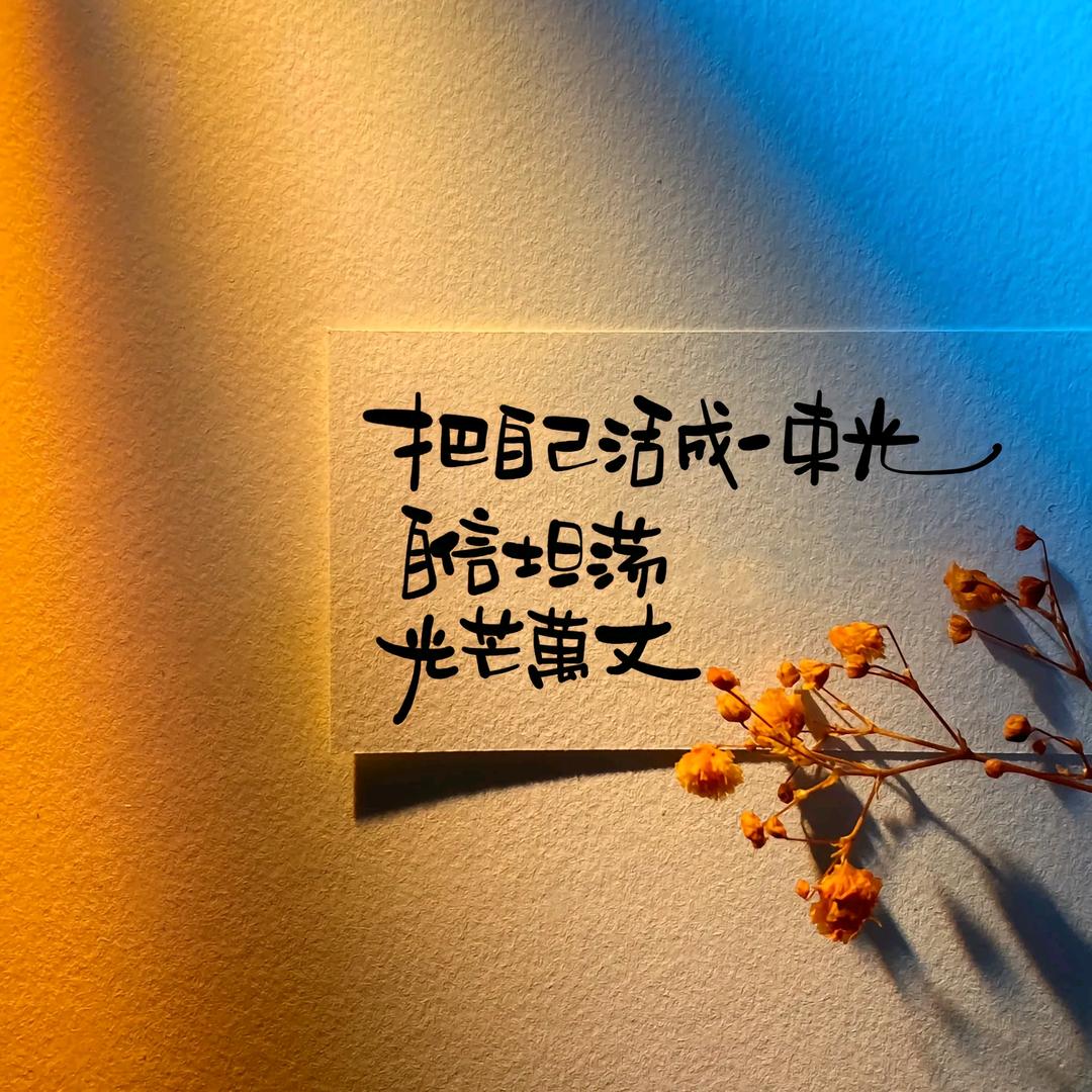 挽风×过境