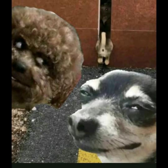 独钓寒江雪w