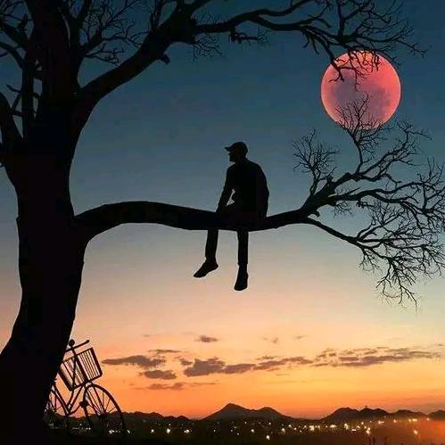 ༊ღ弈昂丶楊ღ᭄