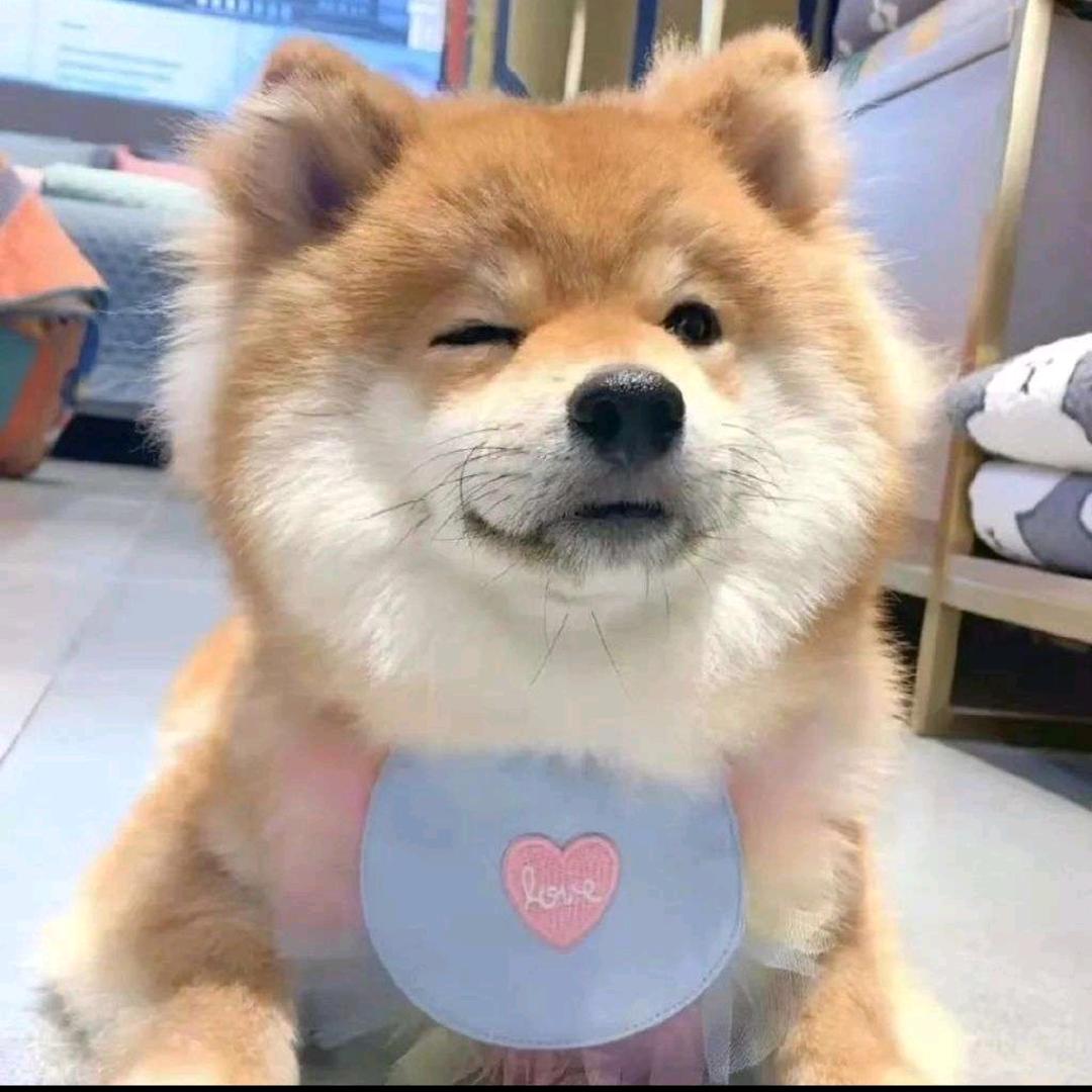 hhjsjdhe