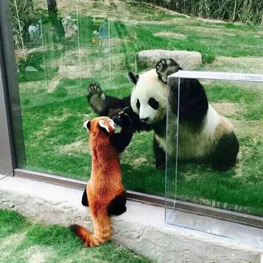 南城纳霖维臻好物市集