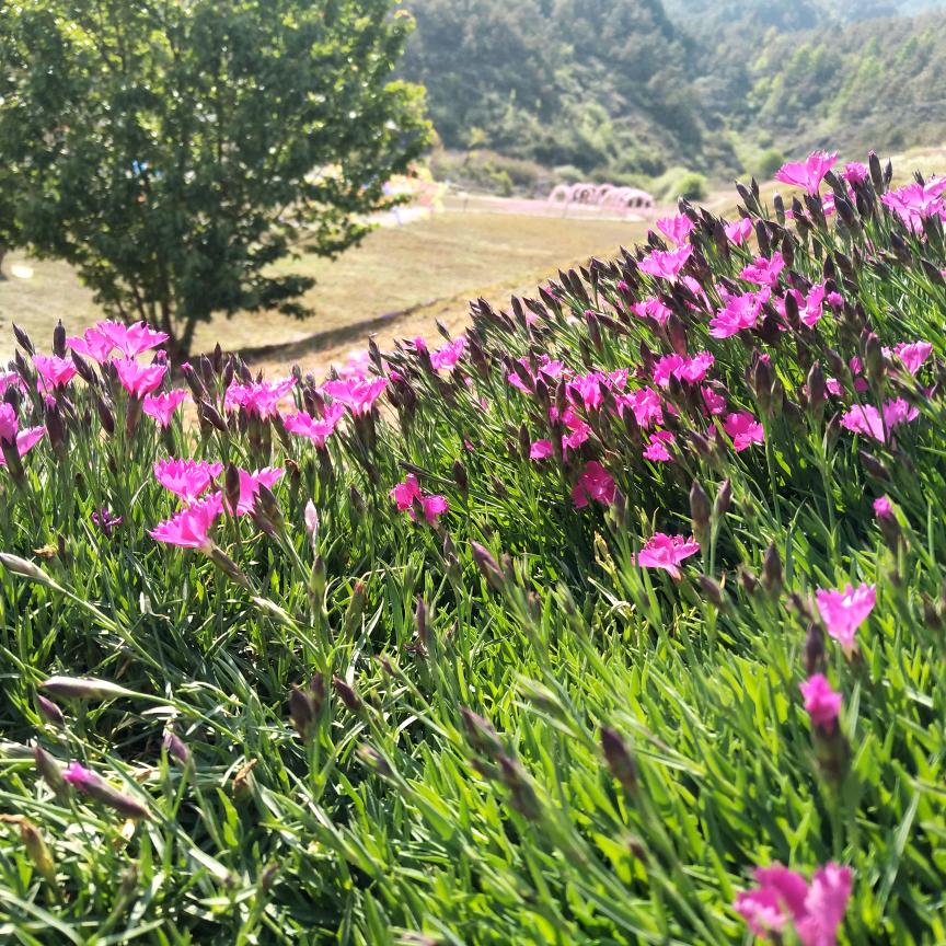 ℘⃝释℘⃝然℘⃝[