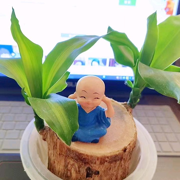 ໑ຼₒ₂₅ღ爱蔡爱己✨