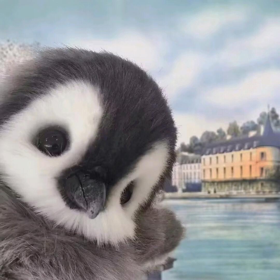 东东电竞考官余北（无畏契约）