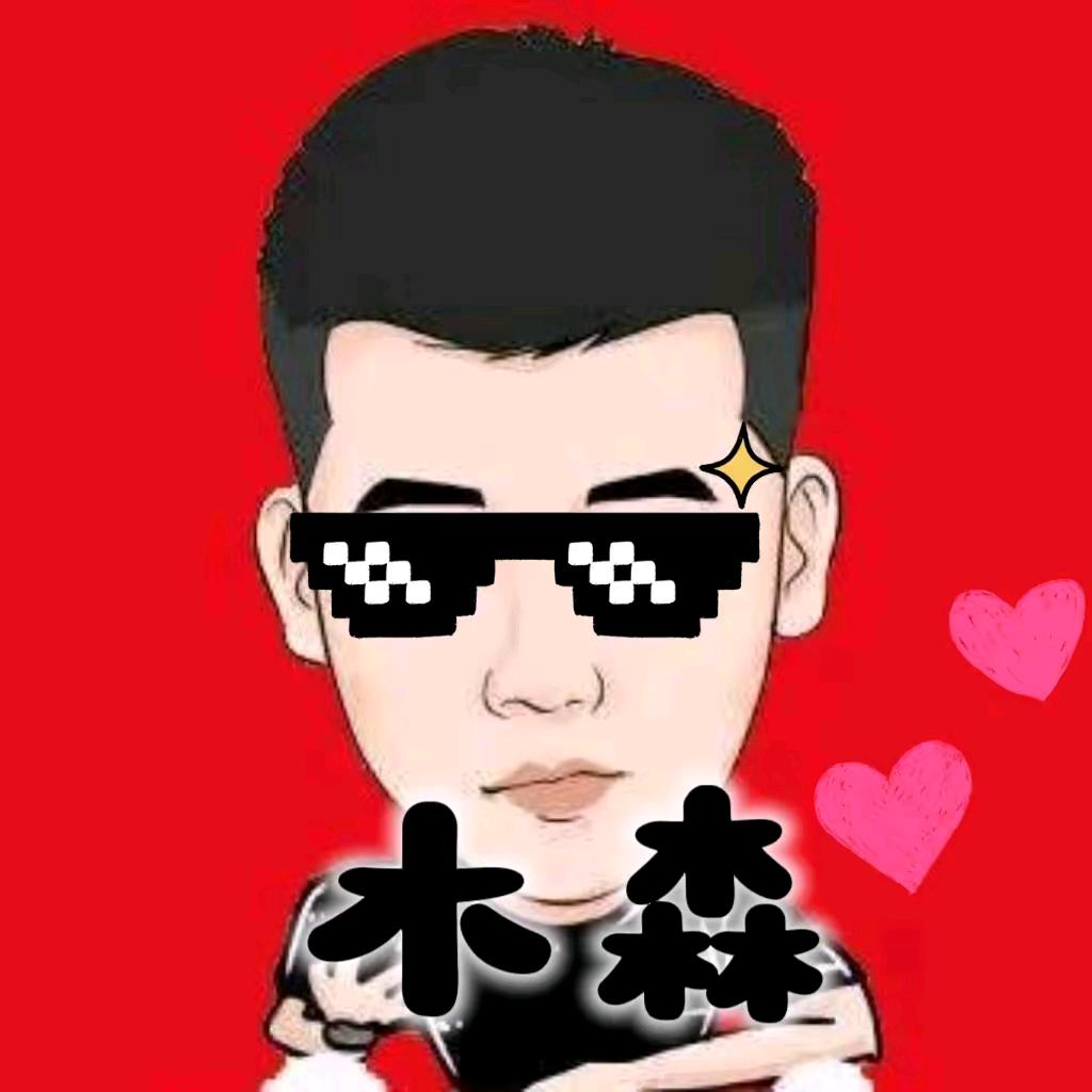 木森-重返大舞台