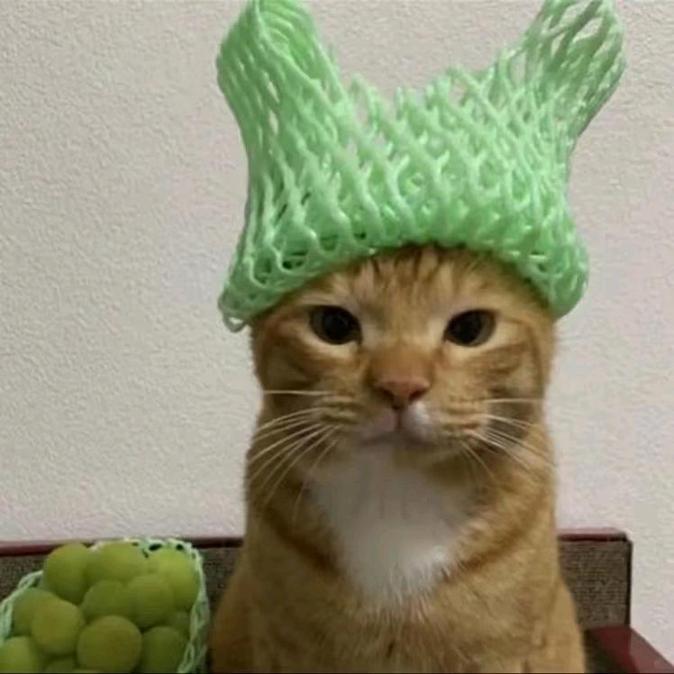 时代风带珠的男人