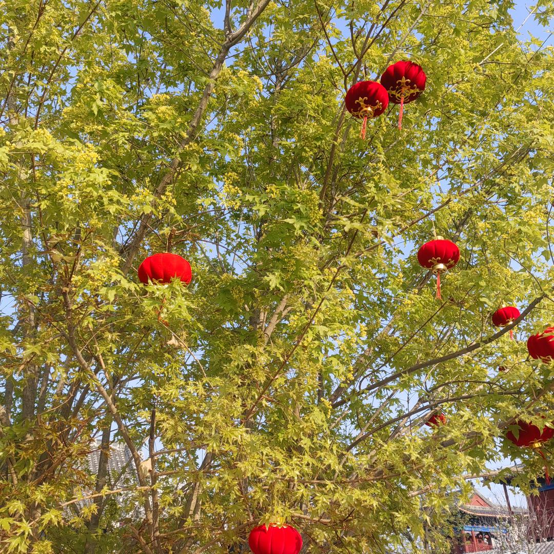 生活在北 一路向南