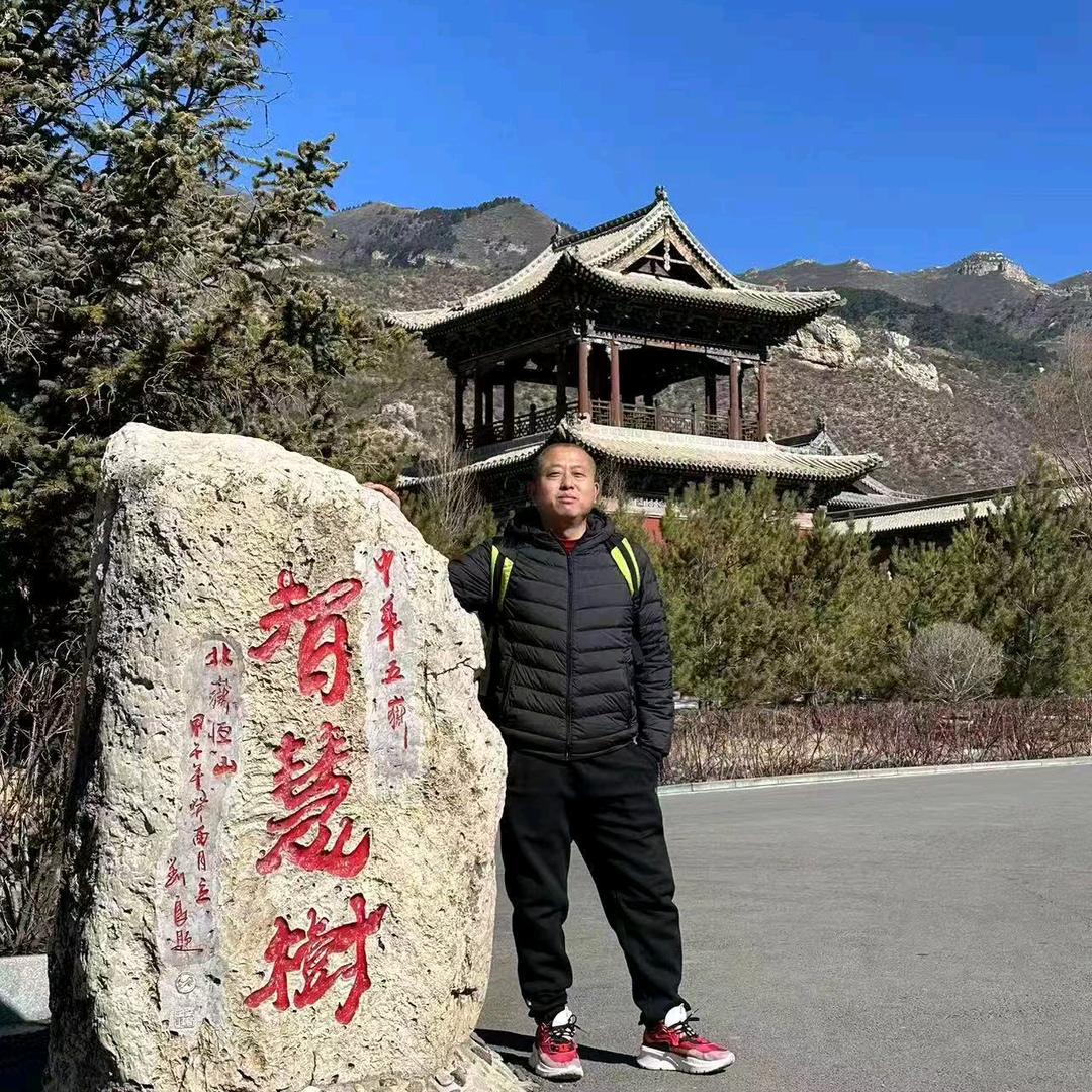 陈12345687