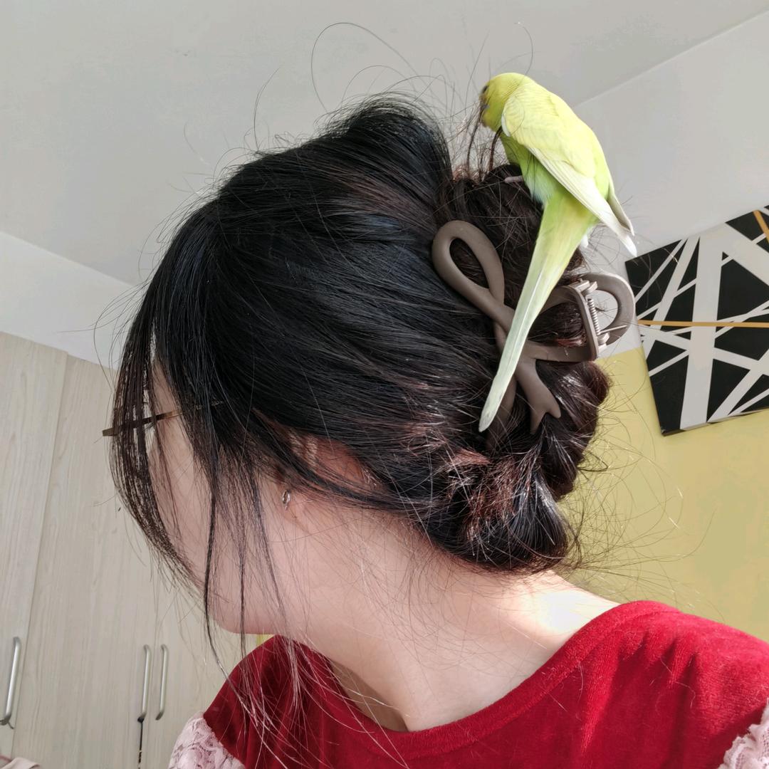 亦白