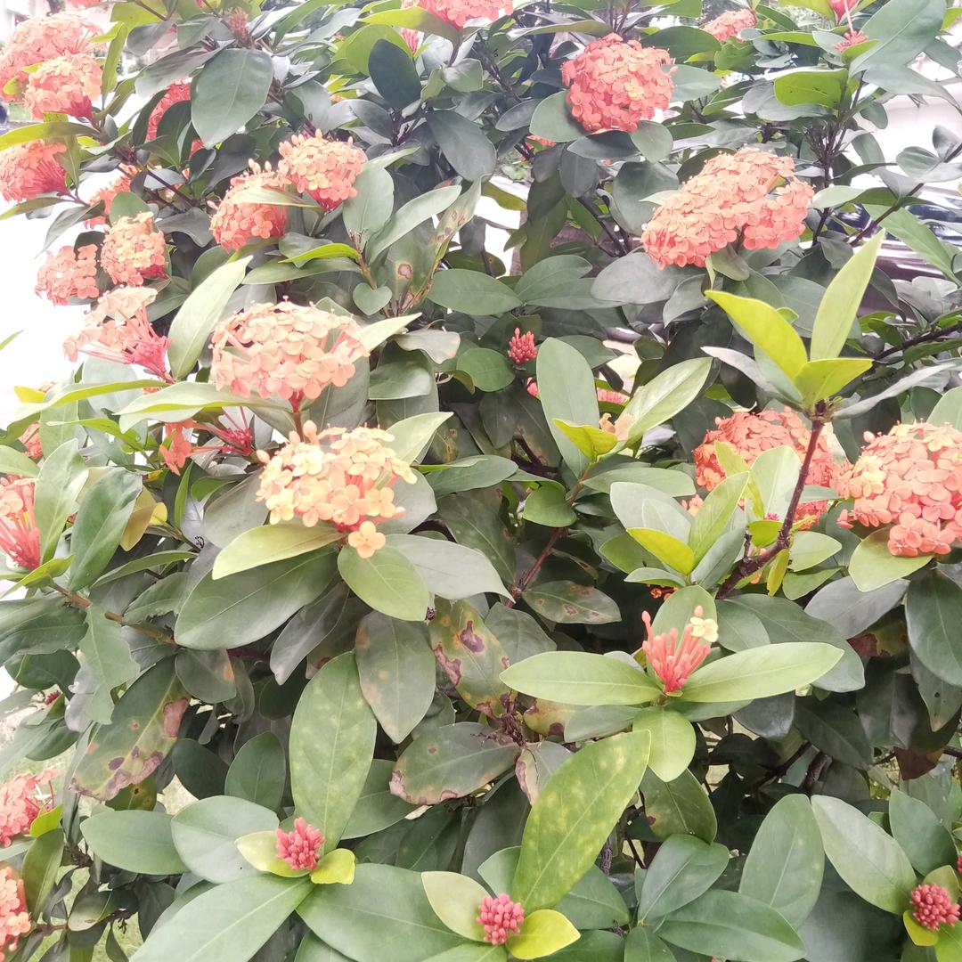 志在坚持