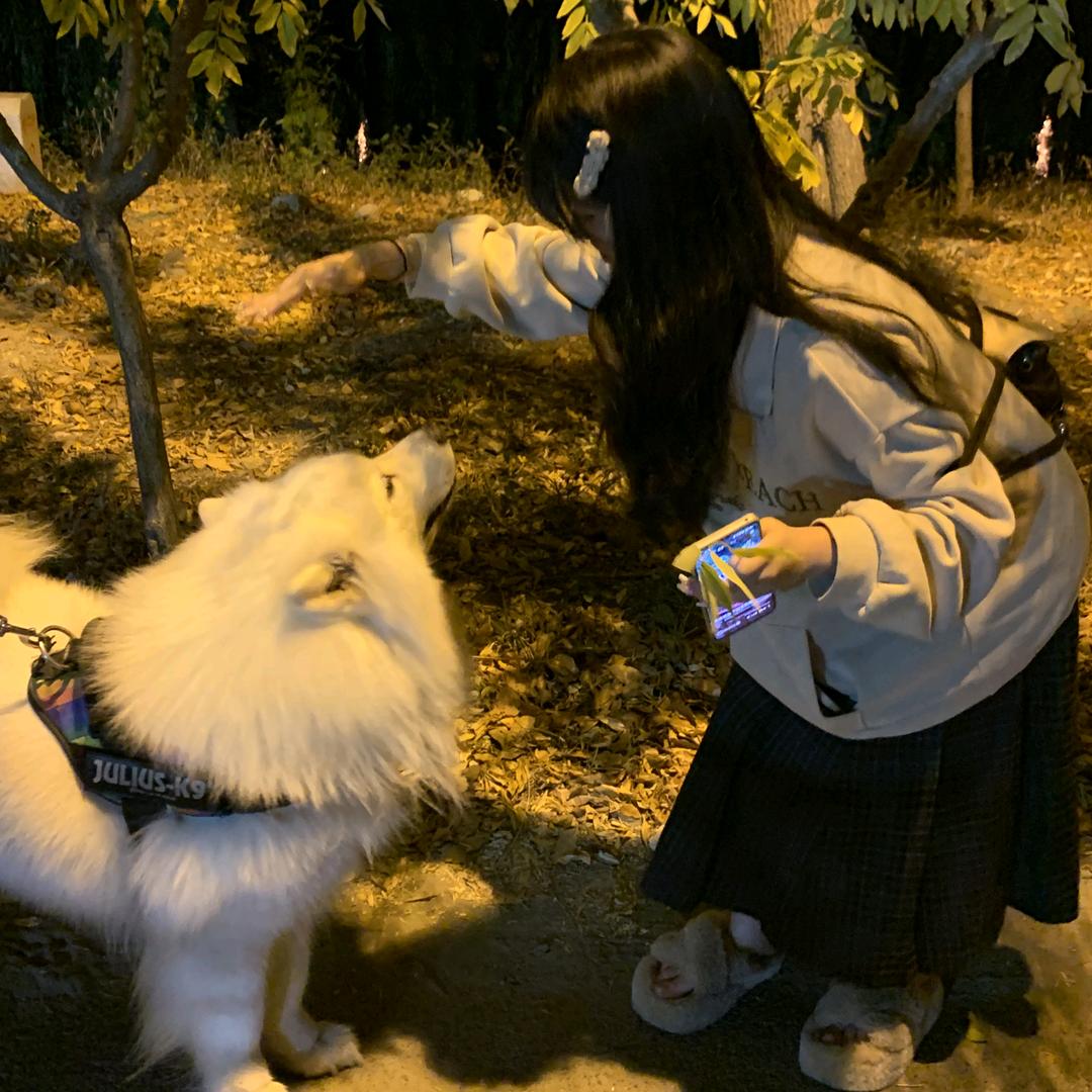 千层不抹茶酱