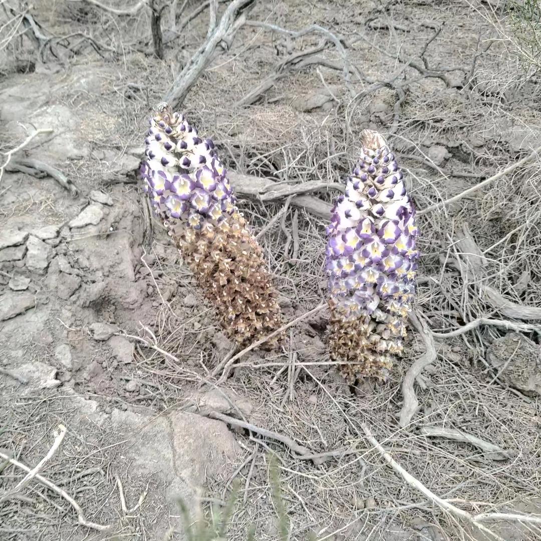 𝒜别ᩚ回ᩚ头ᩚᭁ࿐一直往钱走