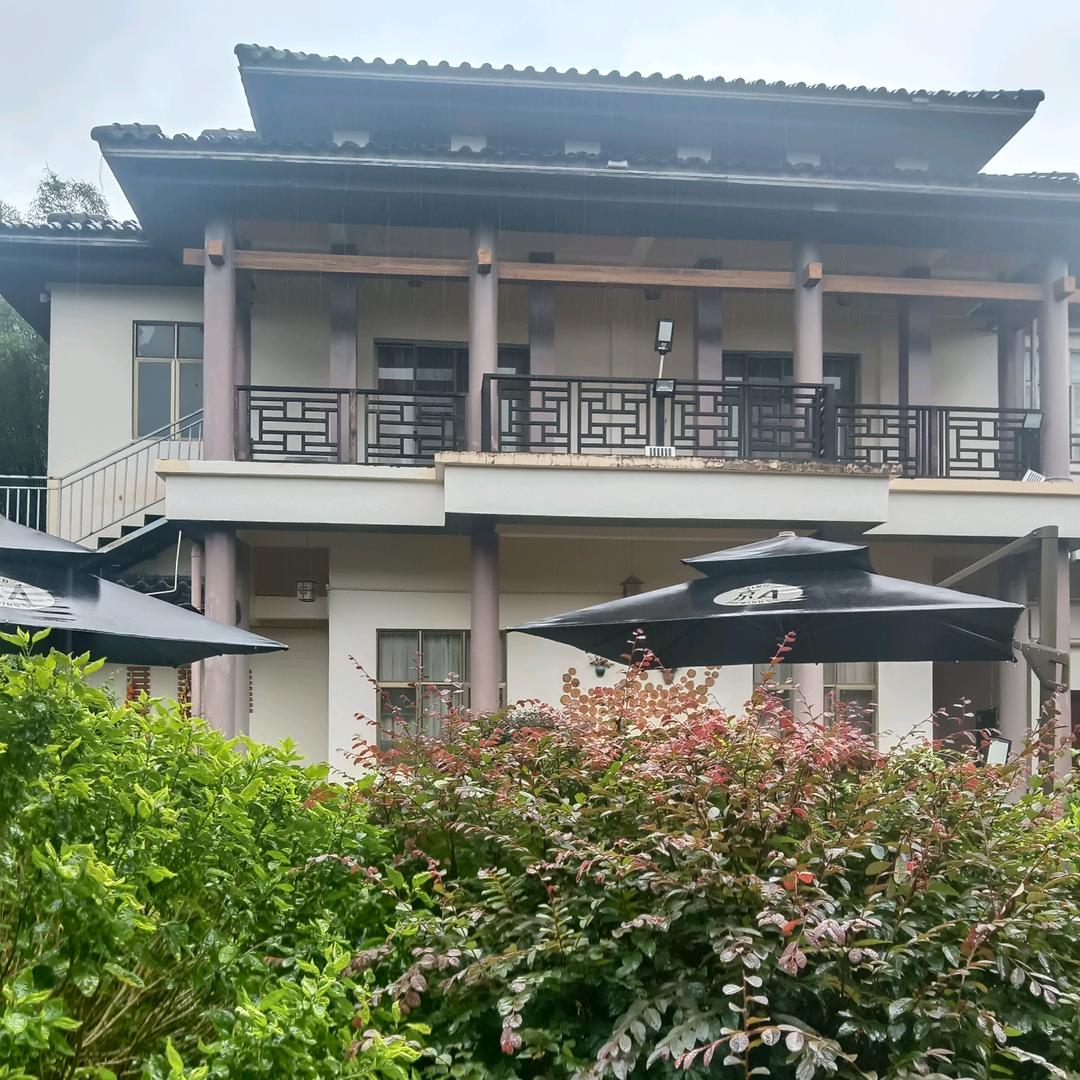 回首十年
