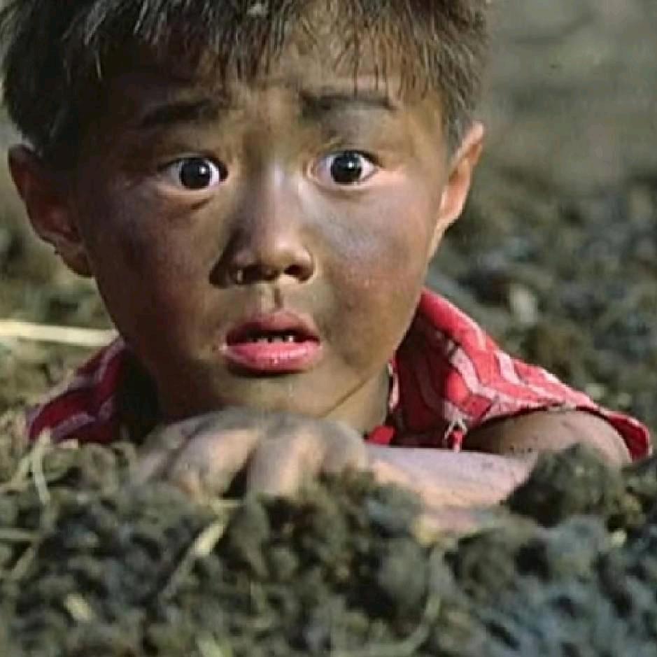 🐉类乌齐仁旦🌹