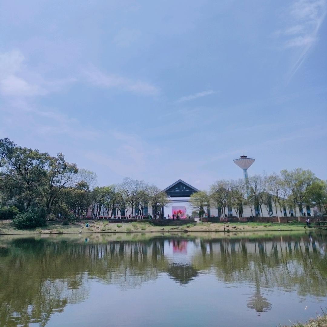 阿风