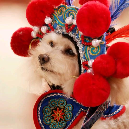 🌈🌈🌈🌈🌈🌈🌈🌈🌈🌈