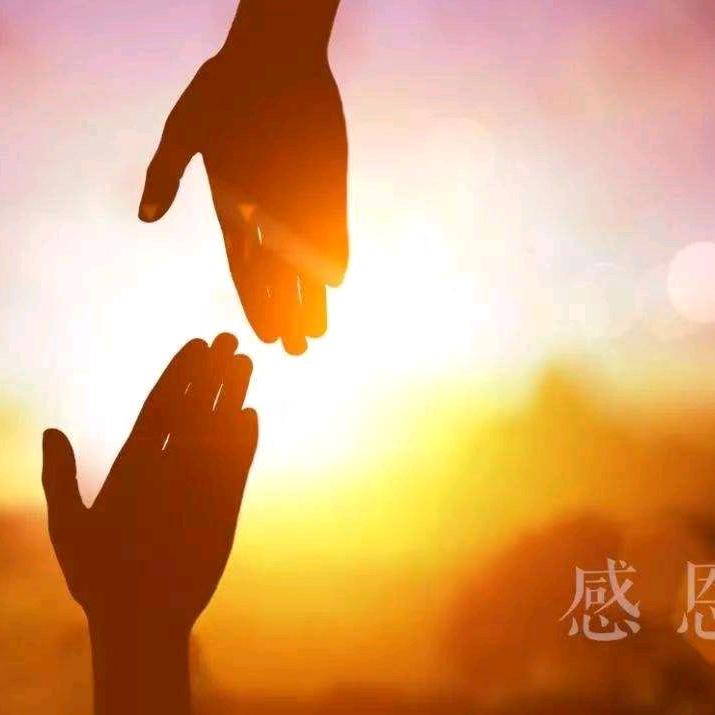 阳光满溢