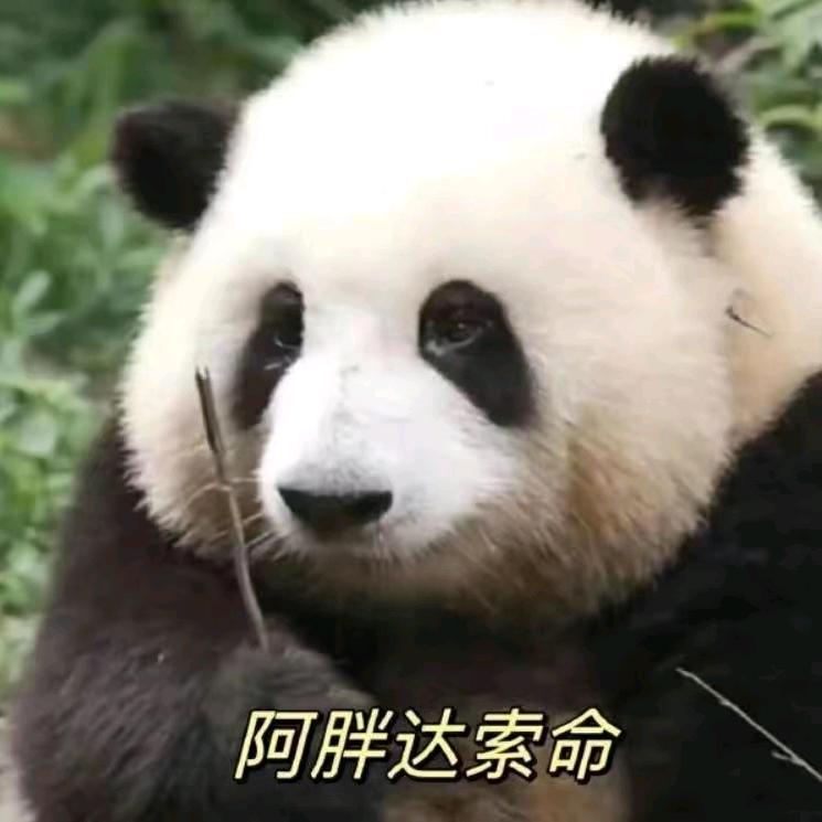 兰亭序.(关注必回)
