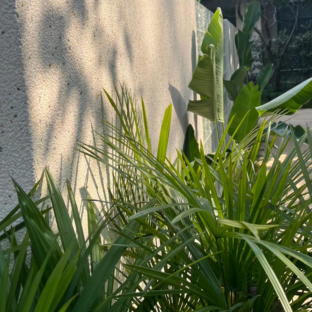 吞金噬元兽
