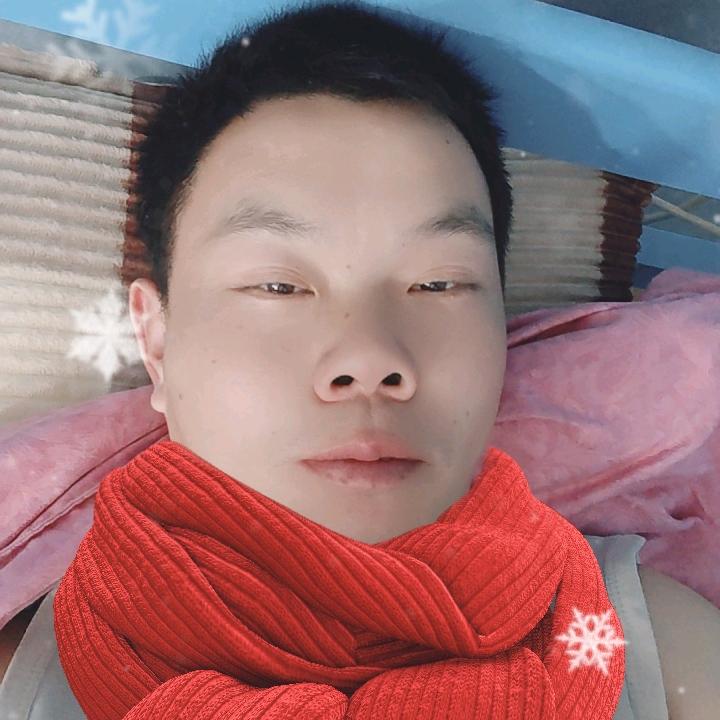 董天宝