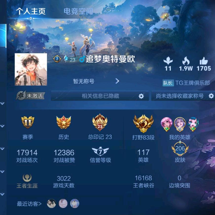 王者荣耀追梦（高端局精彩团战）