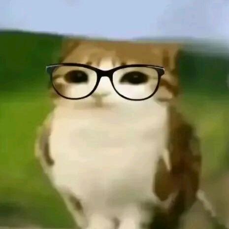 电击老子（减脂中）