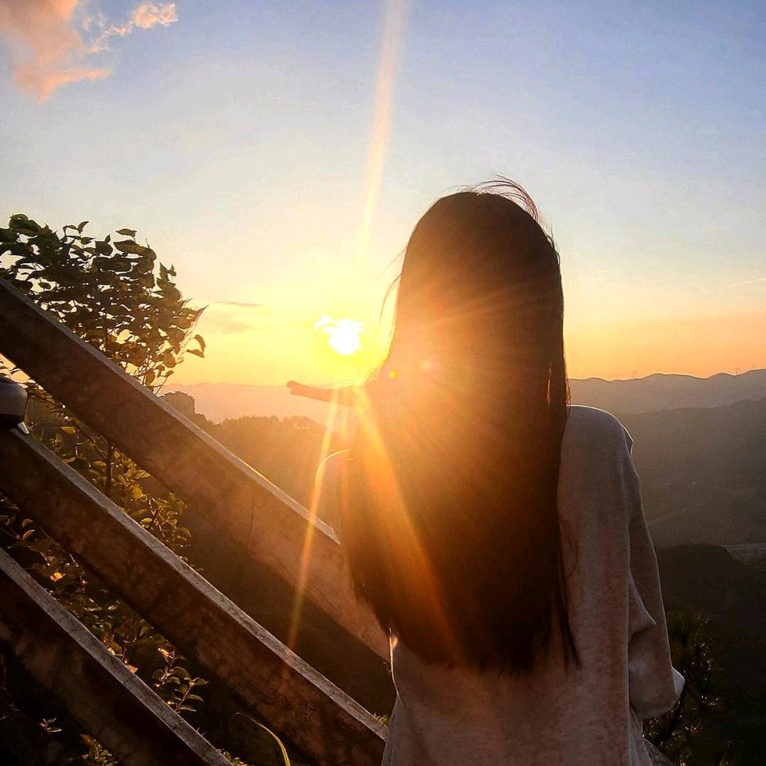 向日葵🌻