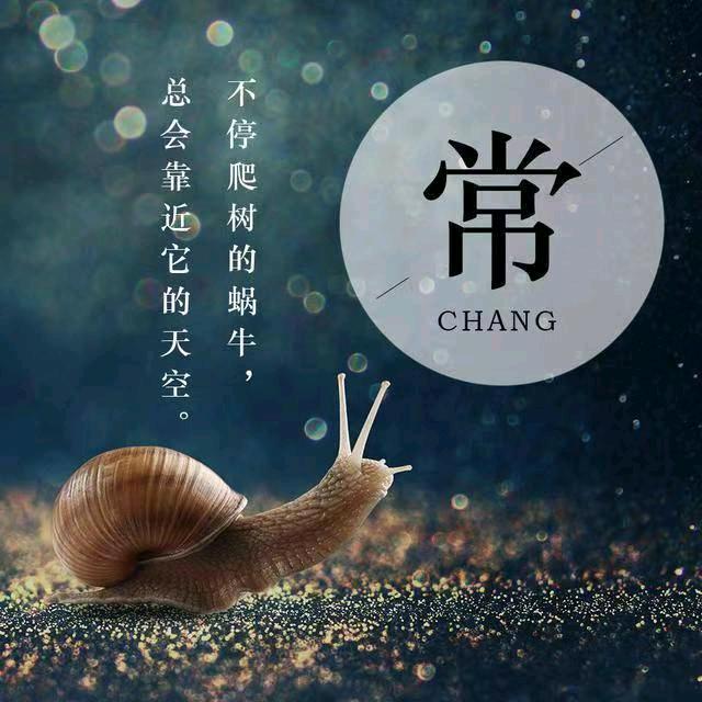 农村常哥