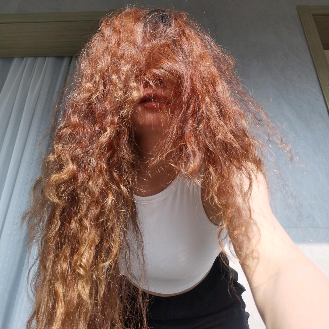 羊毛在飞健身小白