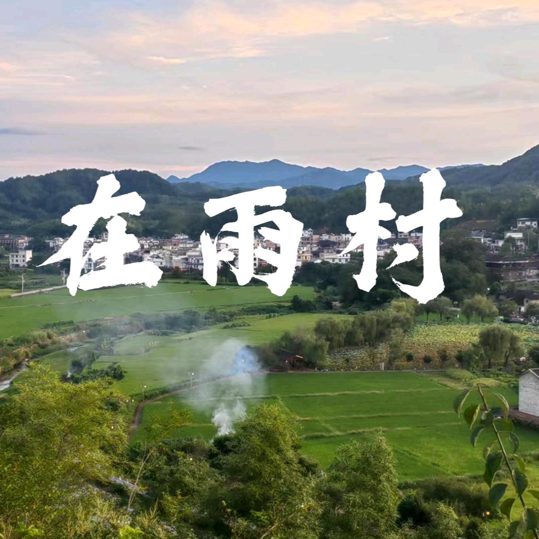 在雨村